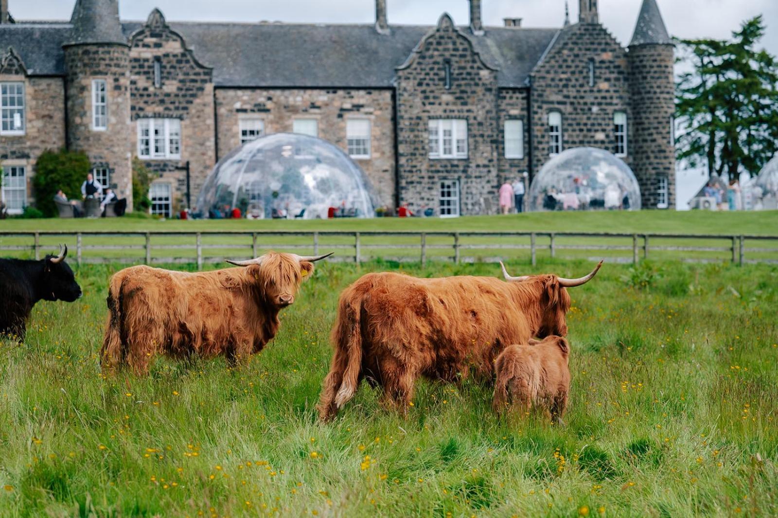 Meldrum House Hotel Golf And Country Estate Oldmeldrum Exterior foto